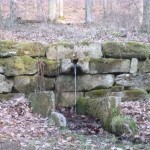 Burgbrünnele Alte Burg