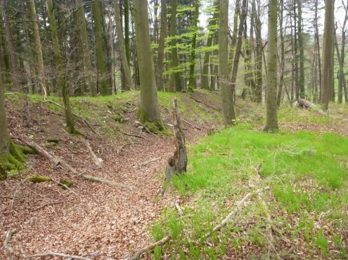 landgraben-bei-wurmberg