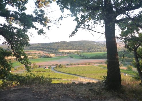 Ausblick von der "Reichshalde"